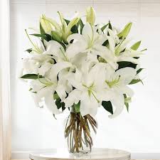 Lilies Vase Flower