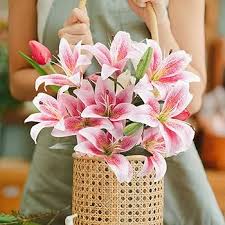 Pink Lilies Flower