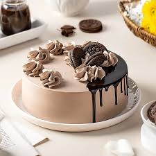 Double Delight Chocolate Cake