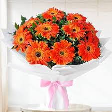 Orange gerbera Flower Bunch