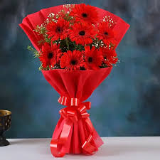 Red Gerbera Flower Bunch