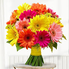 Mixed Gerberas Bunch