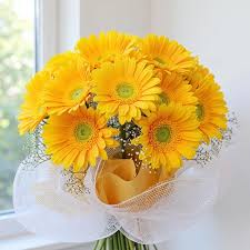 Yellow Gerbera Flower Bunch