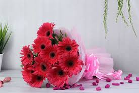 Pinky Gerbera Flower Bouquet