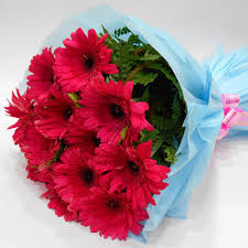 Big Red Gerba Flower Bunch