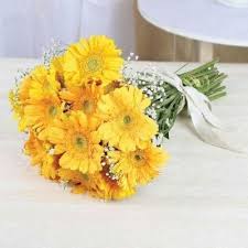 Yellow Gerbera Bunch