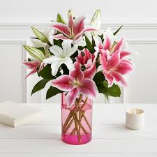 Mixed Lilies Bunch